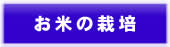 農事法人みずほファーミングのお米栽培